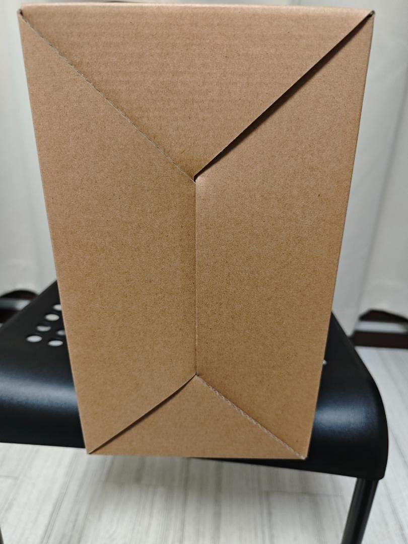 ティニーガンダム（フルパッケージL BUILD　FESTIVAL2024