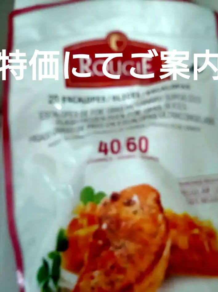 専用2パックRougié 冷フォアグラスライス 0.955kgルージュ