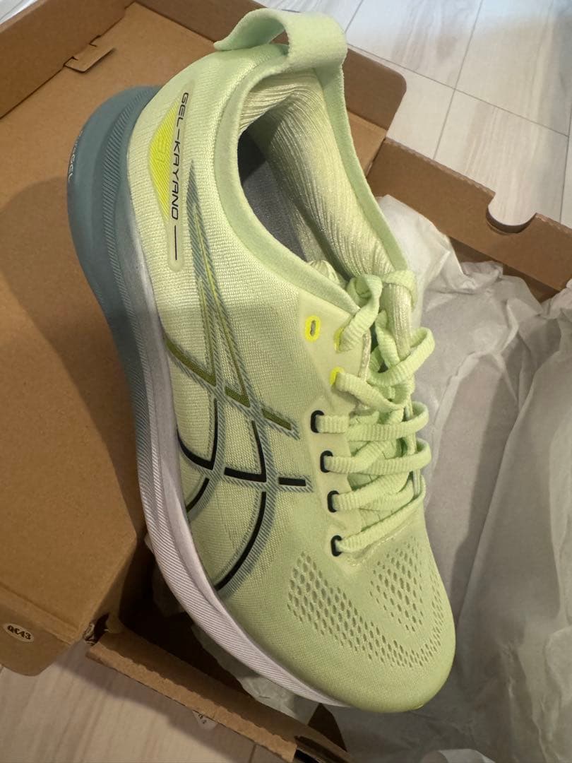 ASICS GEL-KAYANO31 エクストラワイド