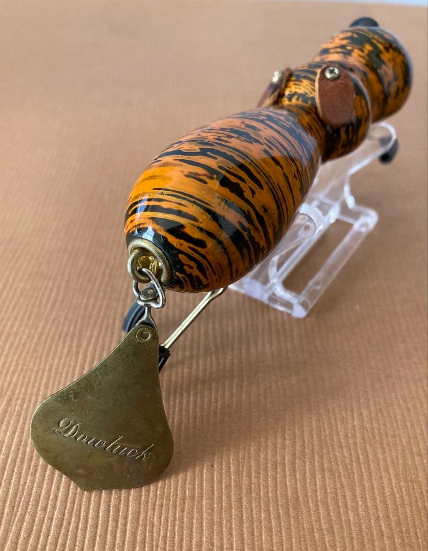 道楽 アナゴイヌ 虎 dowluck 桐箱付き