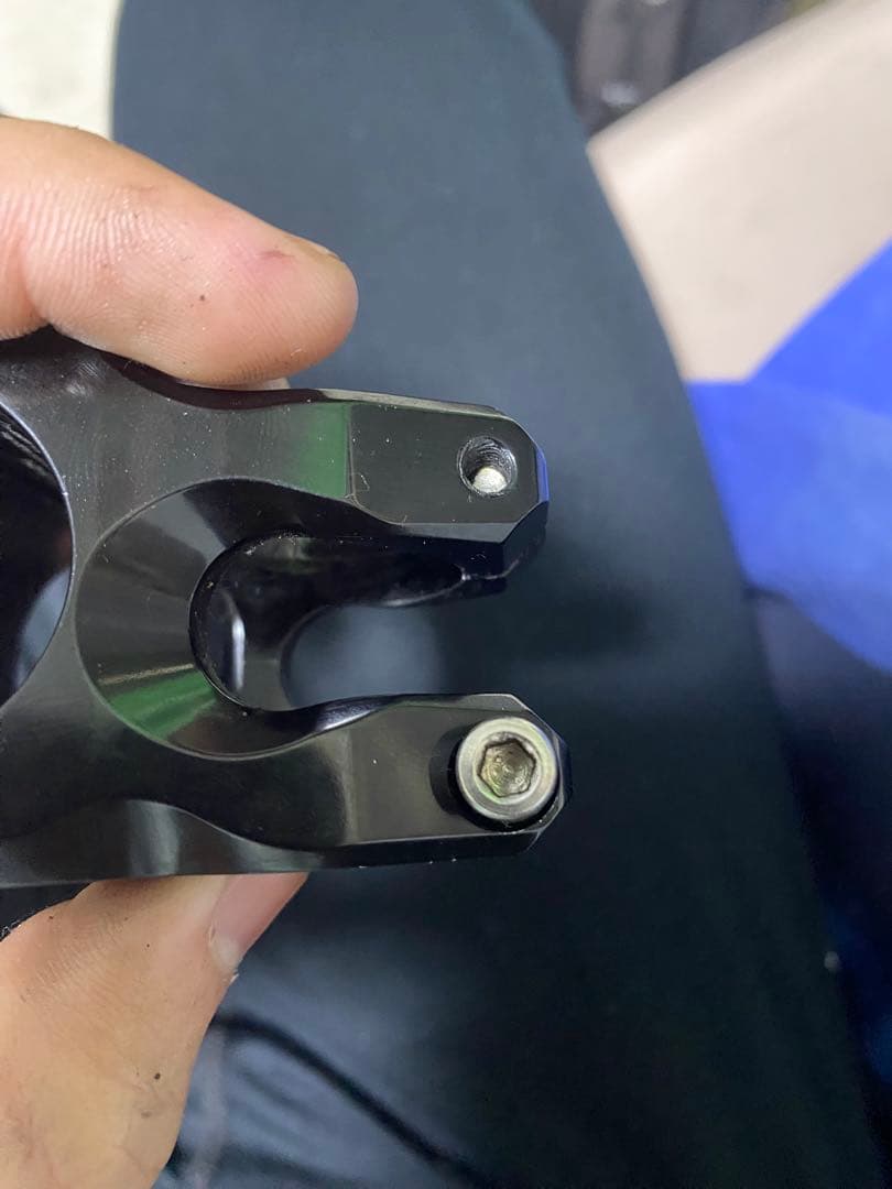 MOUNTAIN STEMSステム