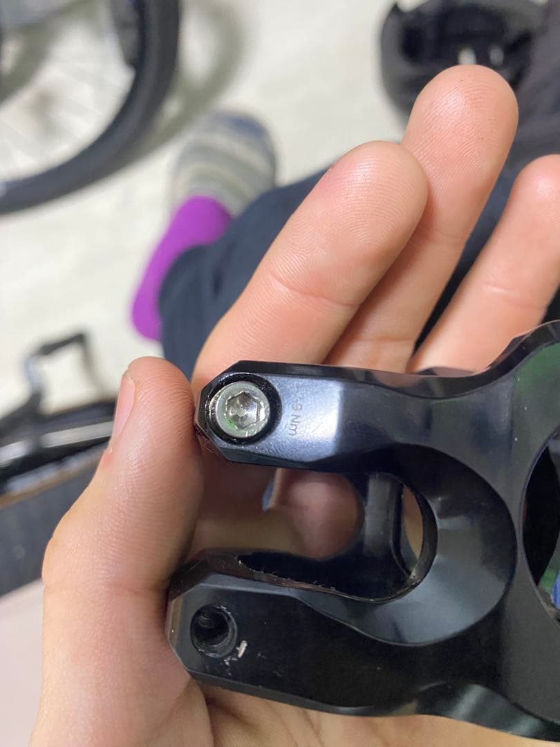 MOUNTAIN STEMSステム