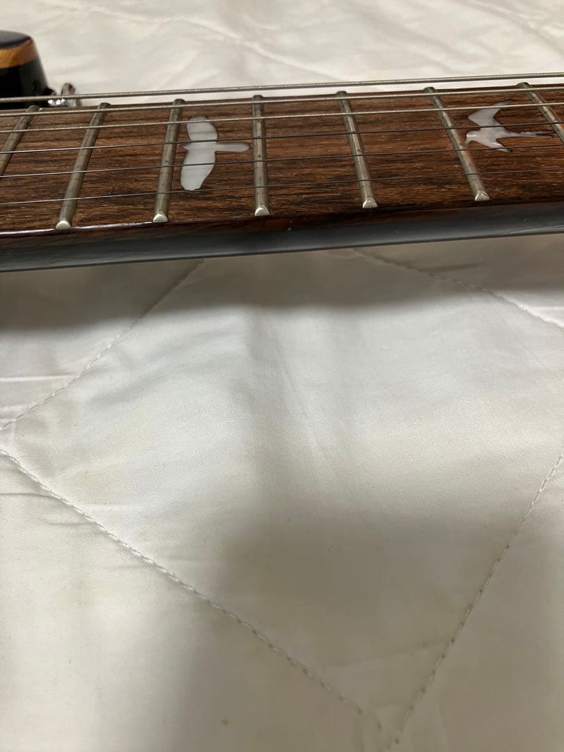 かぴ丸 Paul Reed Smith PRS SE