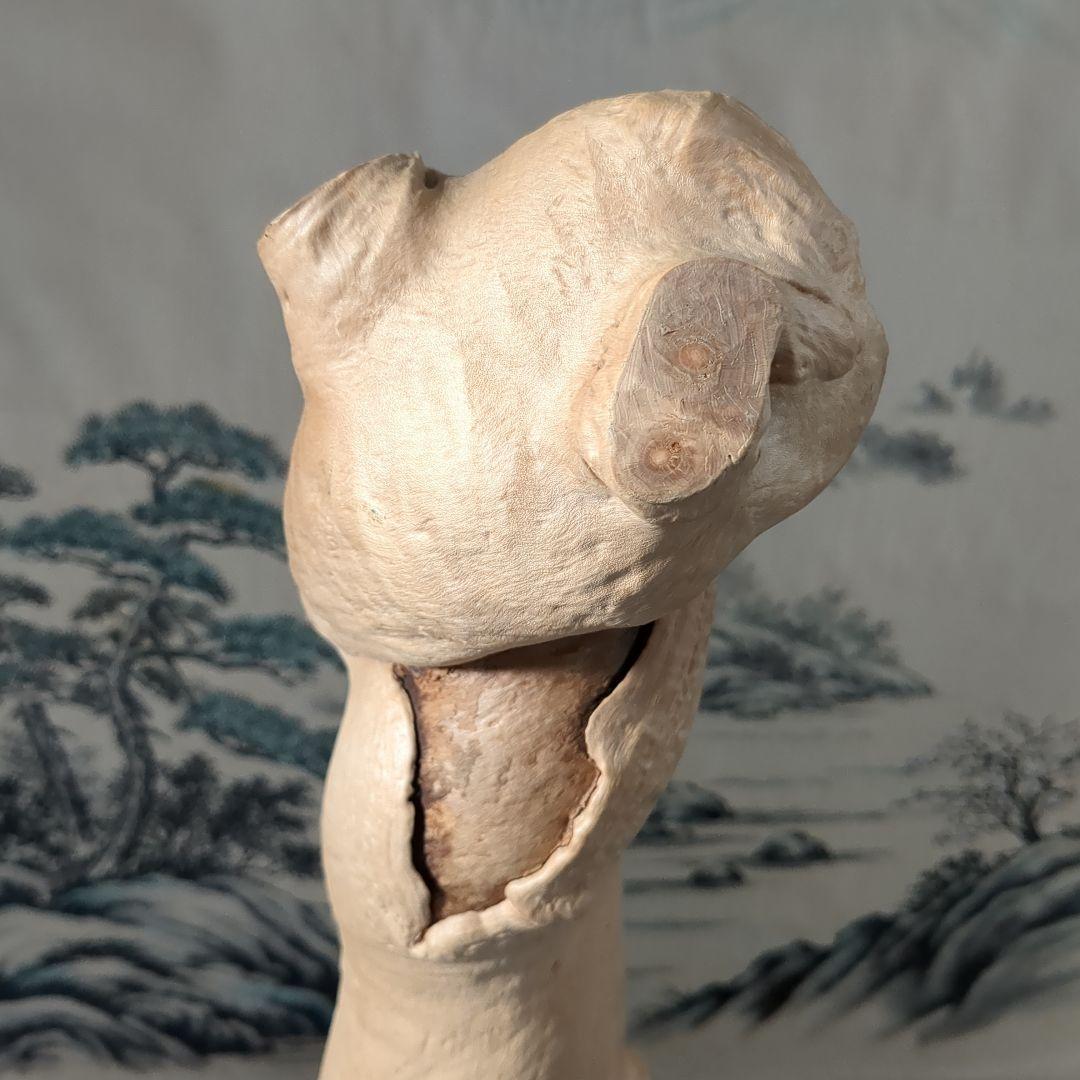 天然木 自然造形 蛇形希少 螺旋状 ねじれ木株 アート作品 高さ約61cm