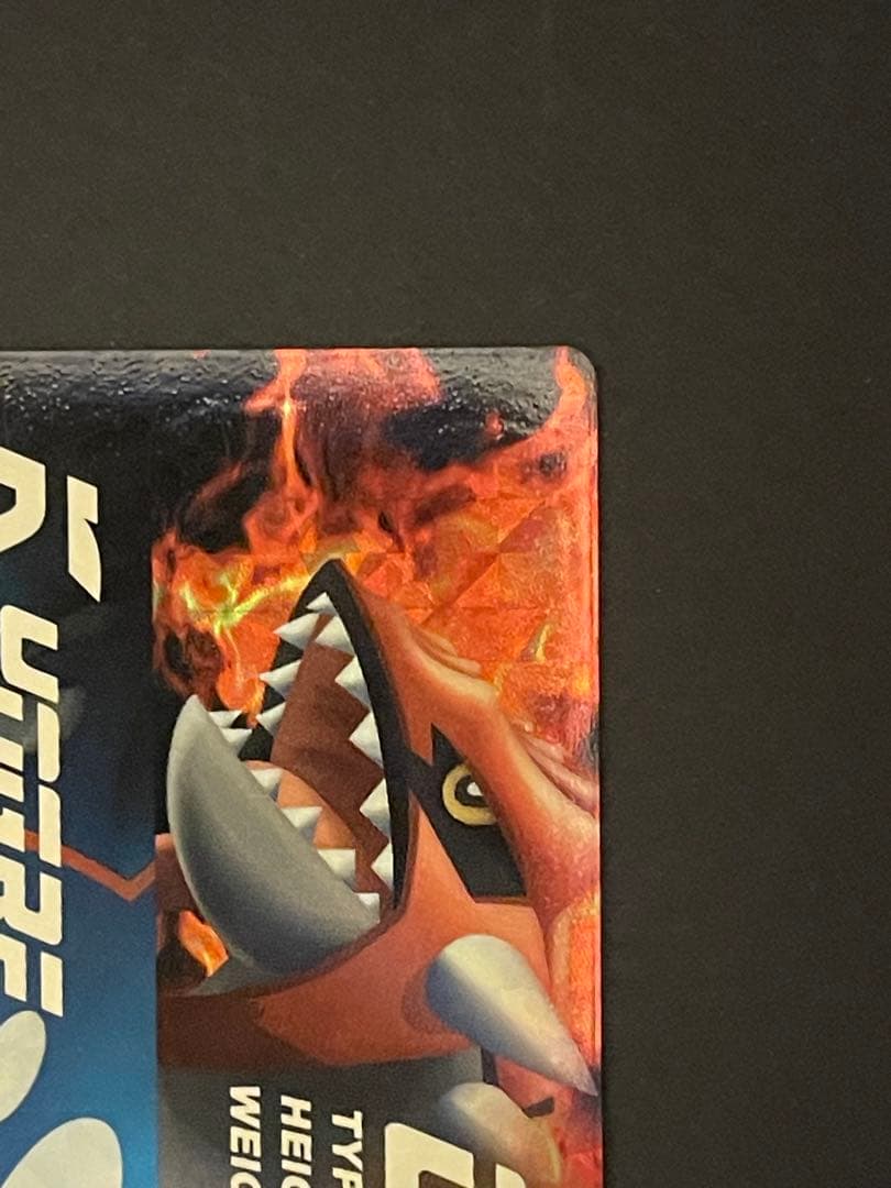 ポケモンカード　ずかんカード　グラードン&カイオーガ