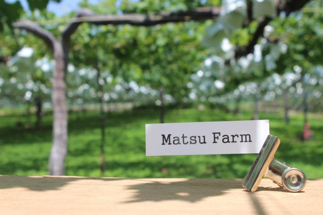 YAYO様様向け商品　　クール便送料込み　9,200円