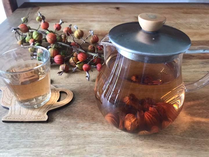 【石垣島産】 月桃茶・実の乾燥　３キロ