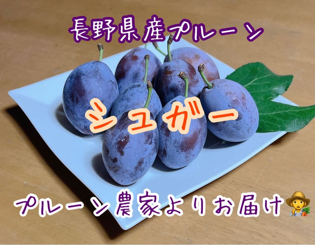 長野県産プルーン　2025終了しました　ありがとうございました(*˙˘˙*)ஐ