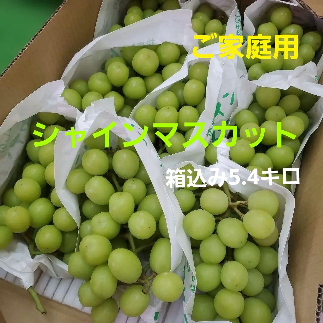 4️⃣ 山梨県産 シャインマスカット ９房入り 箱込み5.4キロ
