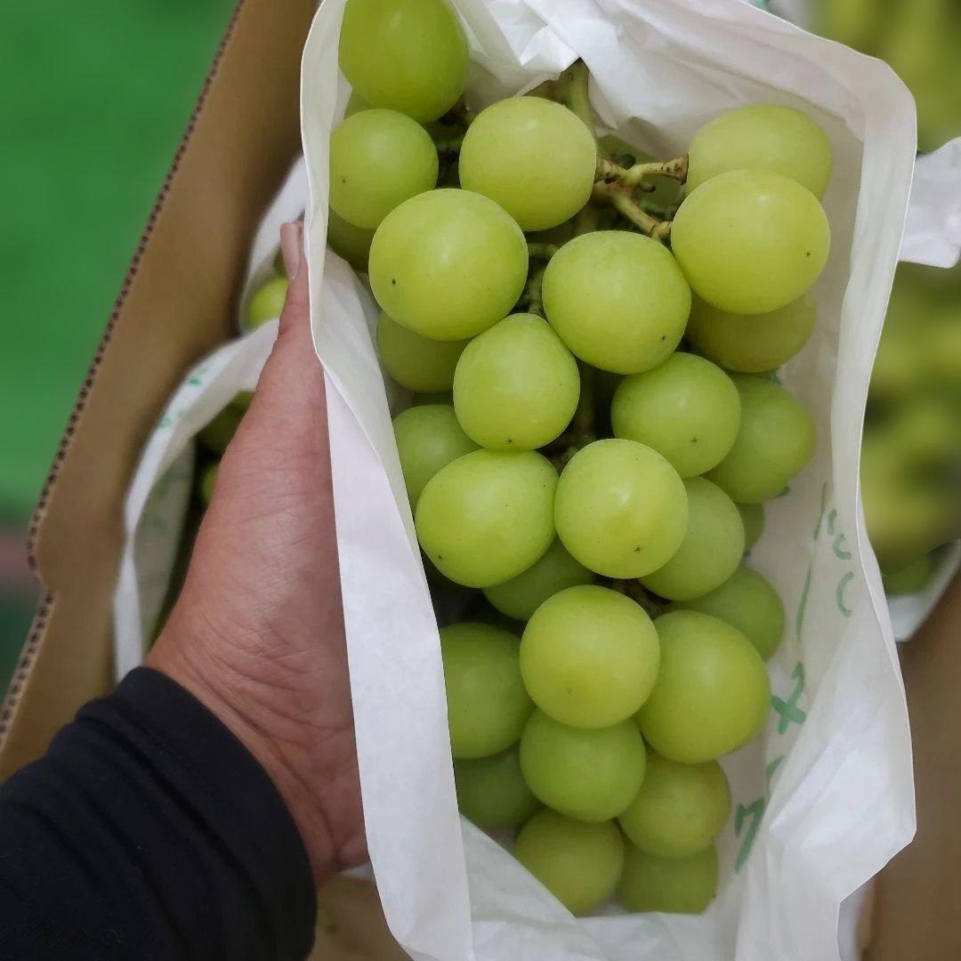4️⃣ 山梨県産 シャインマスカット ９房入り 箱込み5.4キロ