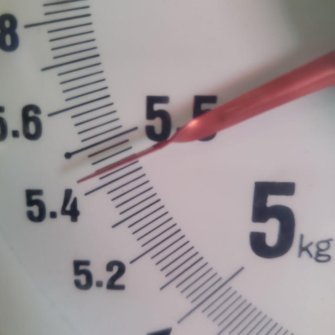 4️⃣ 山梨県産 シャインマスカット ９房入り 箱込み5.4キロ