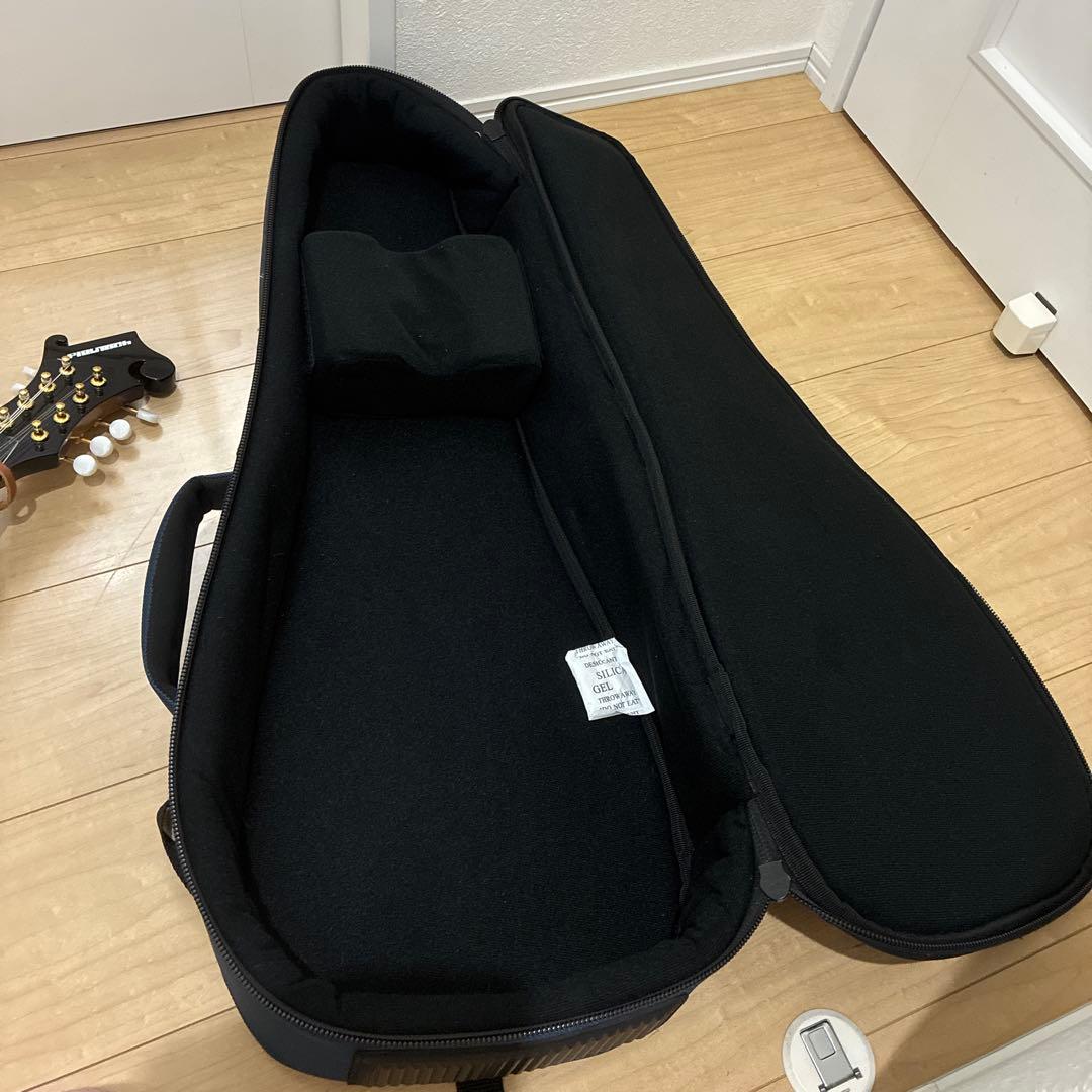 プレイテック　Playtech F型マンドリン　PFM10F ギグバック付き！