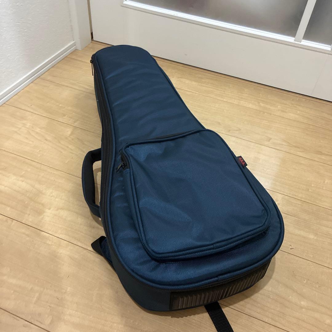 プレイテック　Playtech F型マンドリン　PFM10F ギグバック付き！