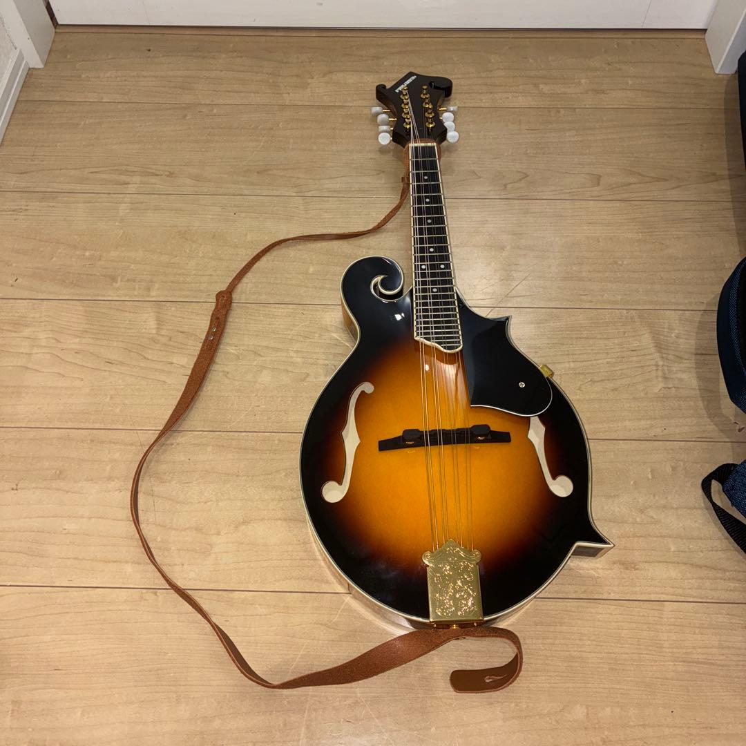 プレイテック　Playtech F型マンドリン　PFM10F ギグバック付き！