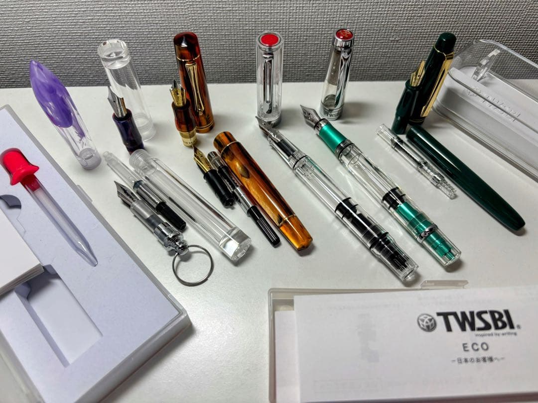 【万年筆10本セット】パイロット、プラチナ、TWSBI、MOONMAN バラ売可