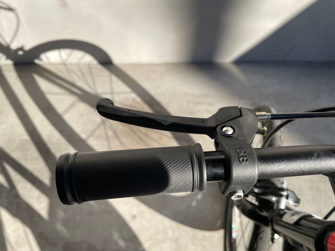 LOUIS GARNEAU（ルイガノ）　18インチ マウンテンバイク　ブラック