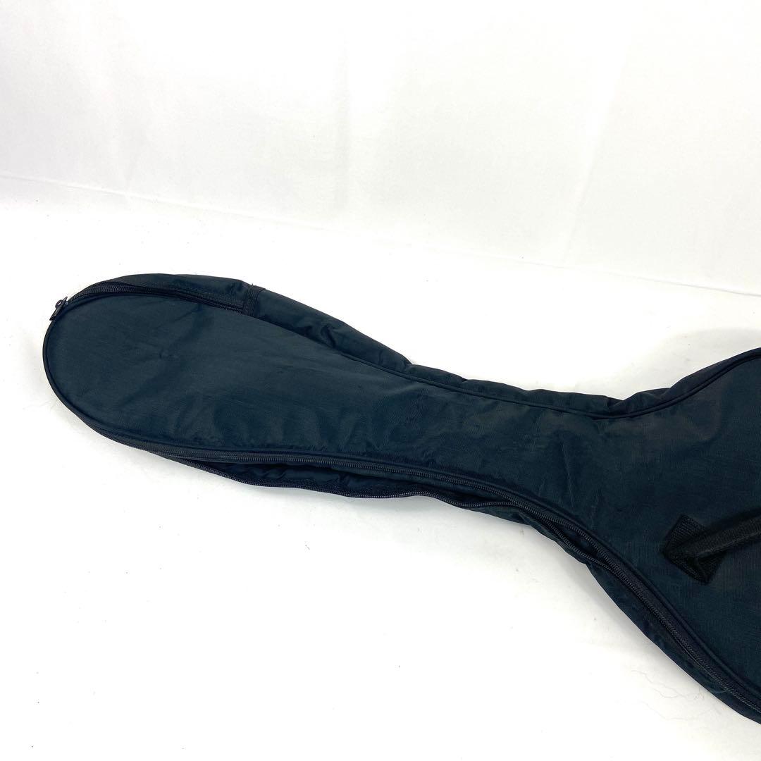 Washburn Stevie Salas Model エレキギター 動作品