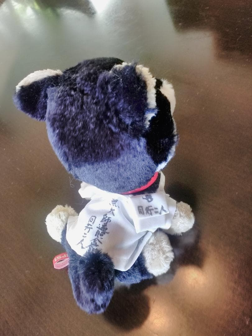 ぬい撮り、ぬいぐるみ旅行!　貴方の大切な可愛い相棒に♬