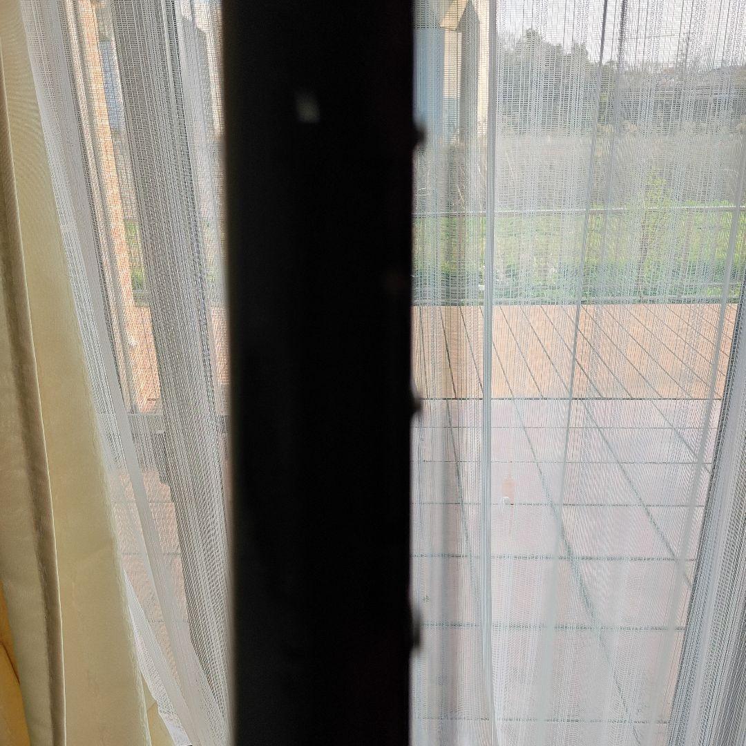 アリアプロⅡ XXDELUXE フライングVモデル