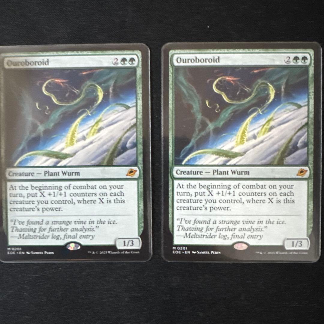 Ouroboroid ウロボロイド　英語　二枚セット