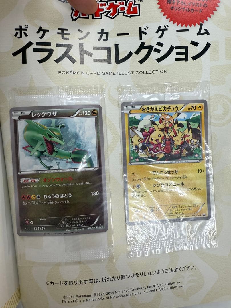 ※鮪さん　専用 ポケモンカード　イラストコレクション