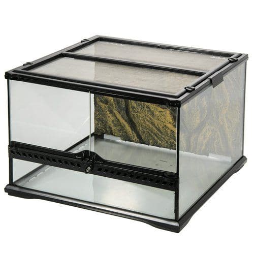 グラステラリウム4530