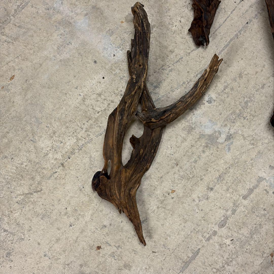 ADA ホーンウッド　流木　アクアリウム　テラリウム　大型