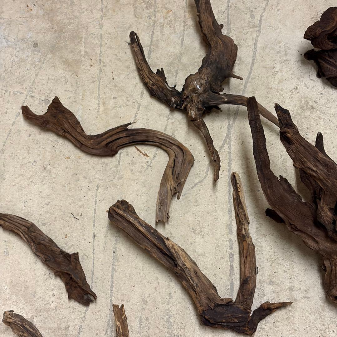 ADA ホーンウッド　流木　アクアリウム　テラリウム　大型