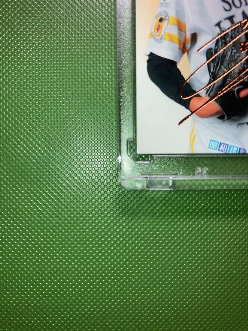 2024 BBM ルーキーエディション 前田悠伍 金箔サイン写真違いシークレット