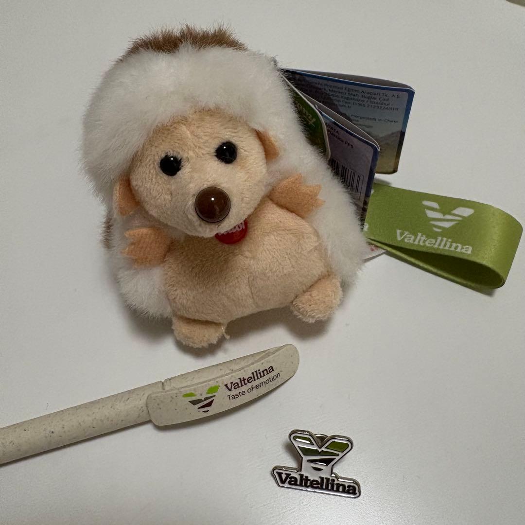 大阪関西万博　イタリア館　非売品　3点セット