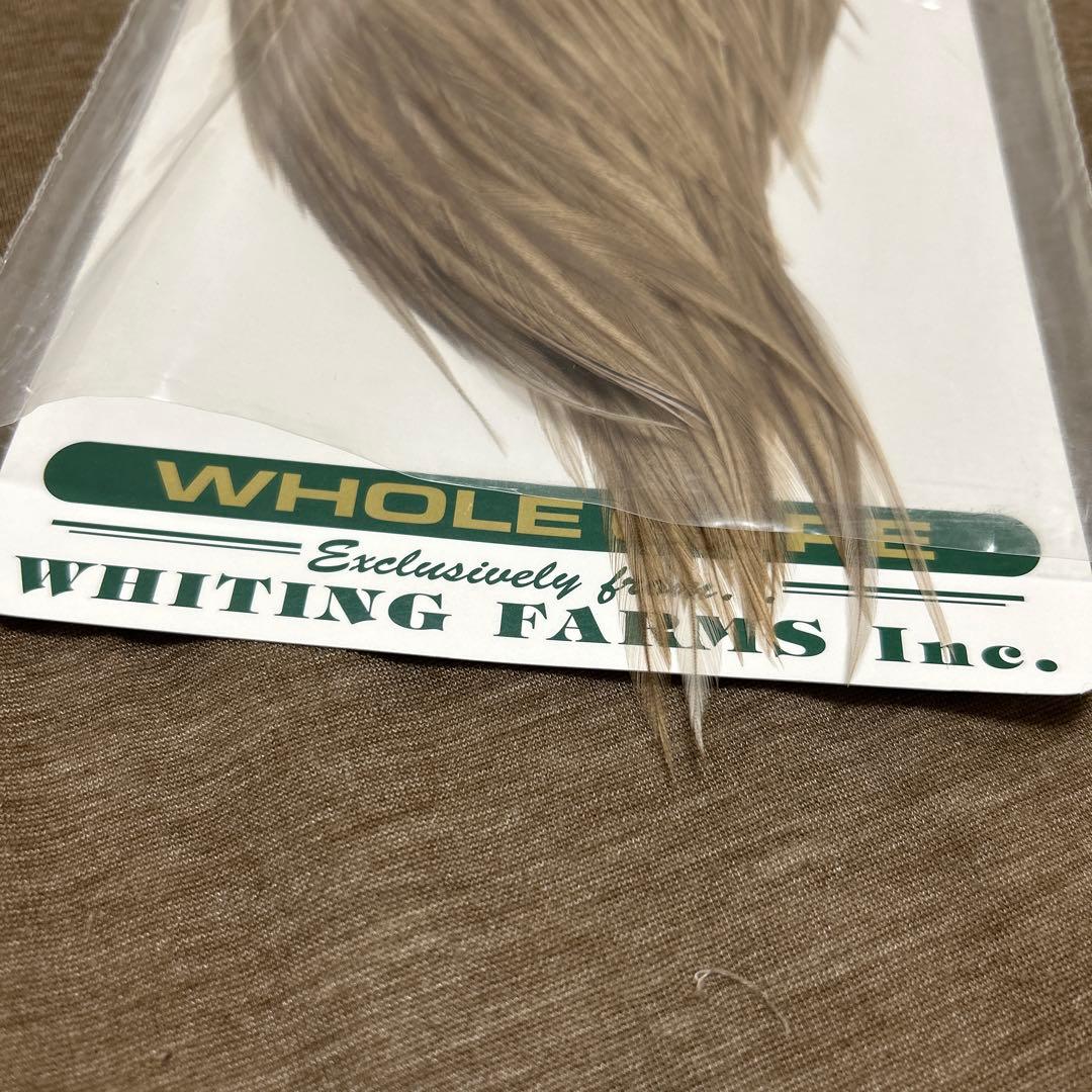 2/3まで最終価格➀WHITING ホワイティング　ドライフライハックル