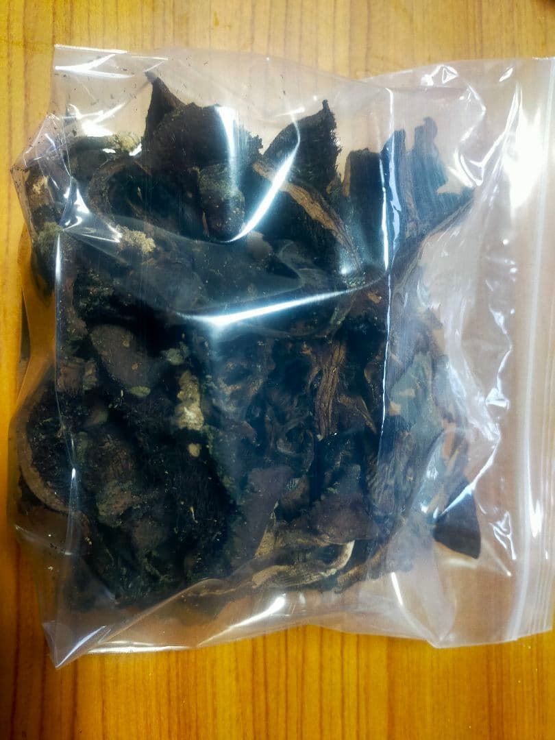 信州産　10月採取　乾燥　香茸　88g　コウタケ