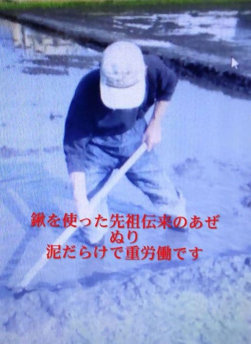 ご病気のお客様に最適な米　玄米10kg　７年産コシヒカリ　特別栽培① 無農薬栽培