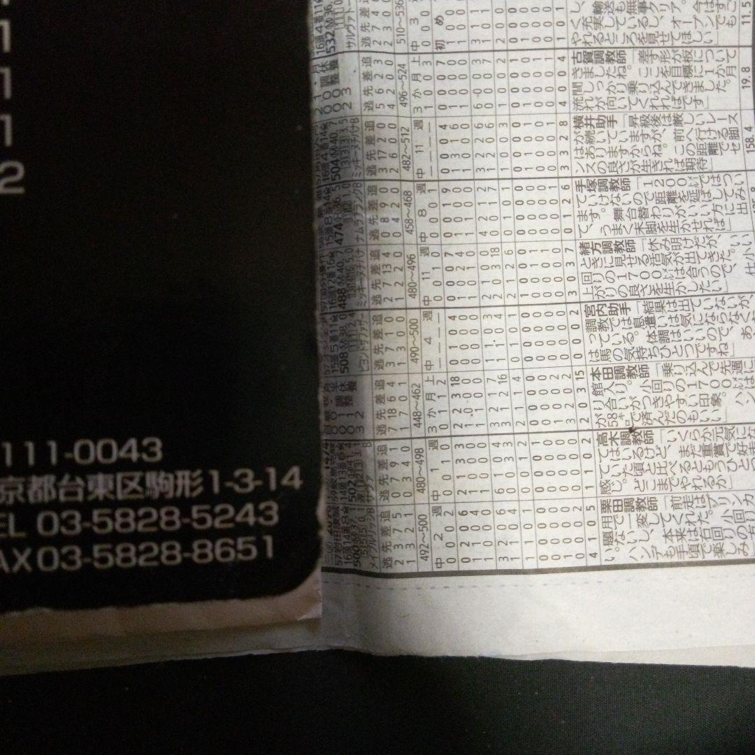 プロレスフィギュア大仁田厚