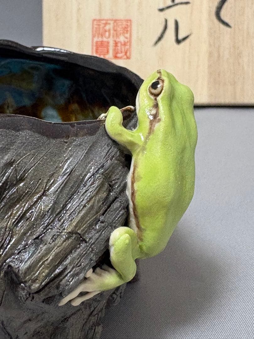 腰越祐貴　樹器とアマガエル