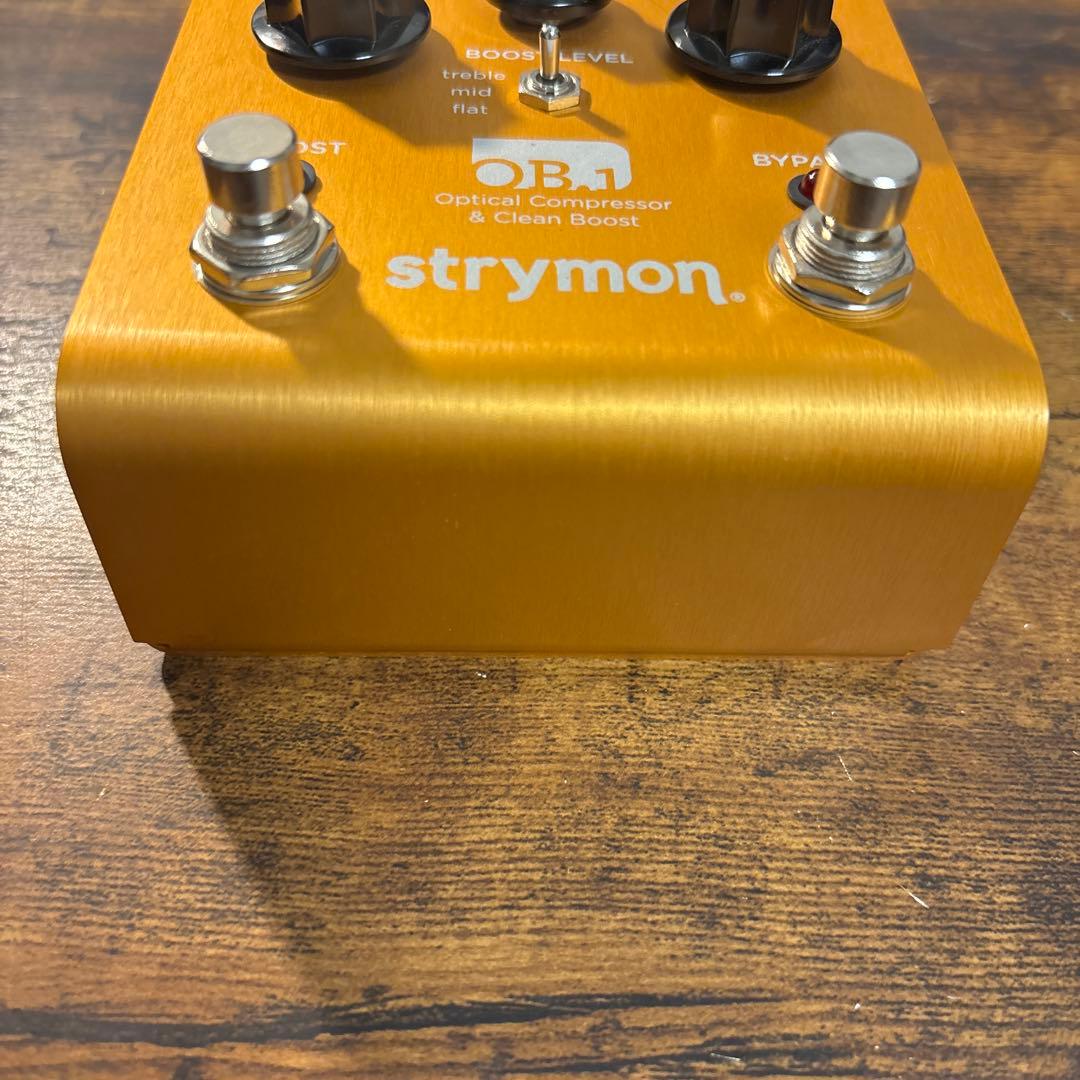 ギター STRYMON OB.1