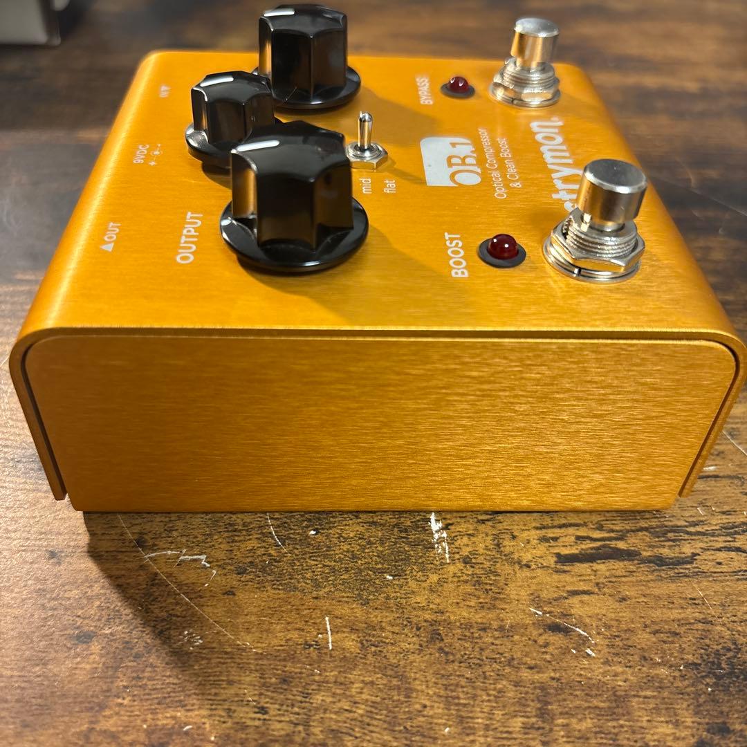 ギター STRYMON OB.1