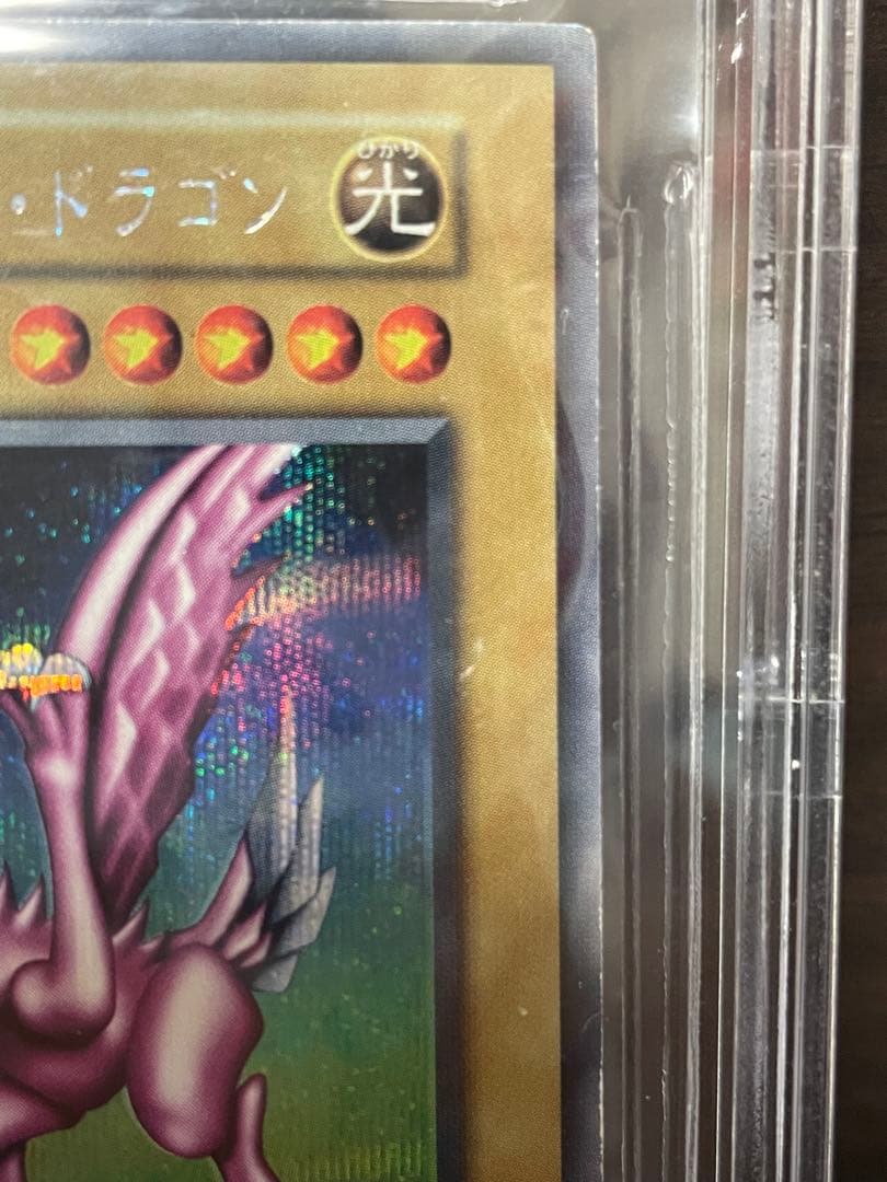 ホーリー・ナイト・ドラゴン