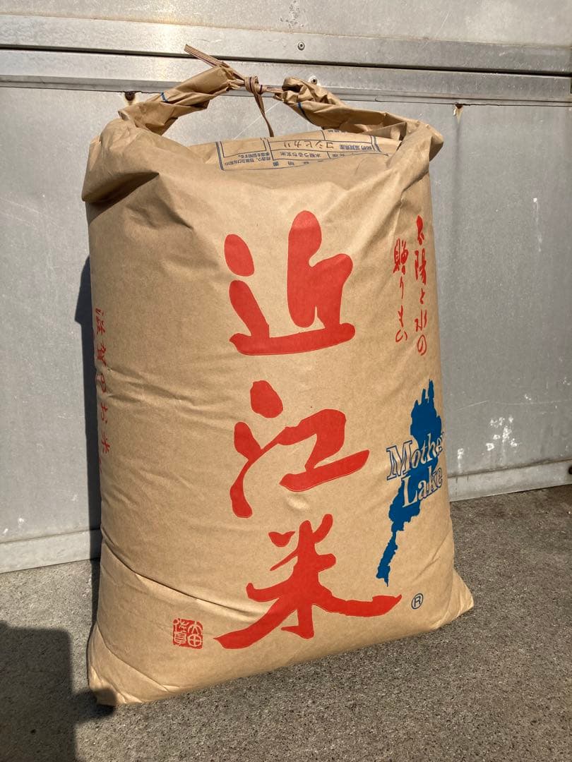 令和7年産 滋賀県産 コシヒカリ 玄米30㎏　送料込み