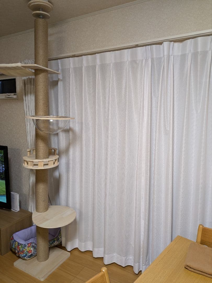 猫タワー