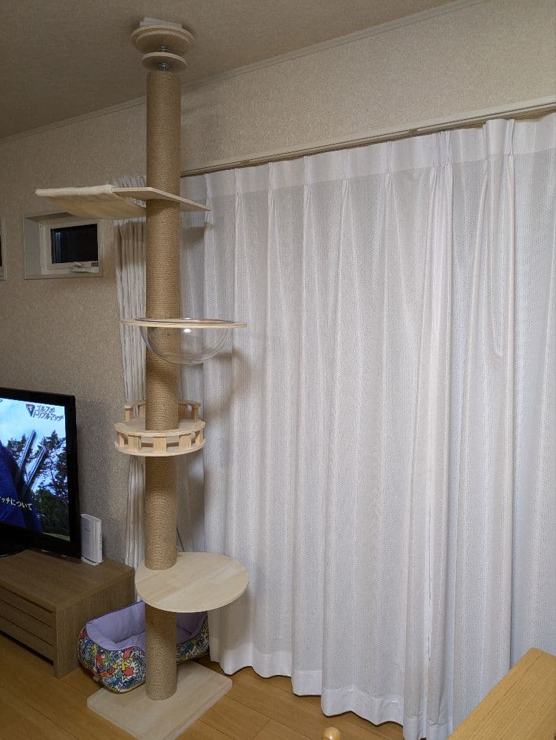 猫タワー