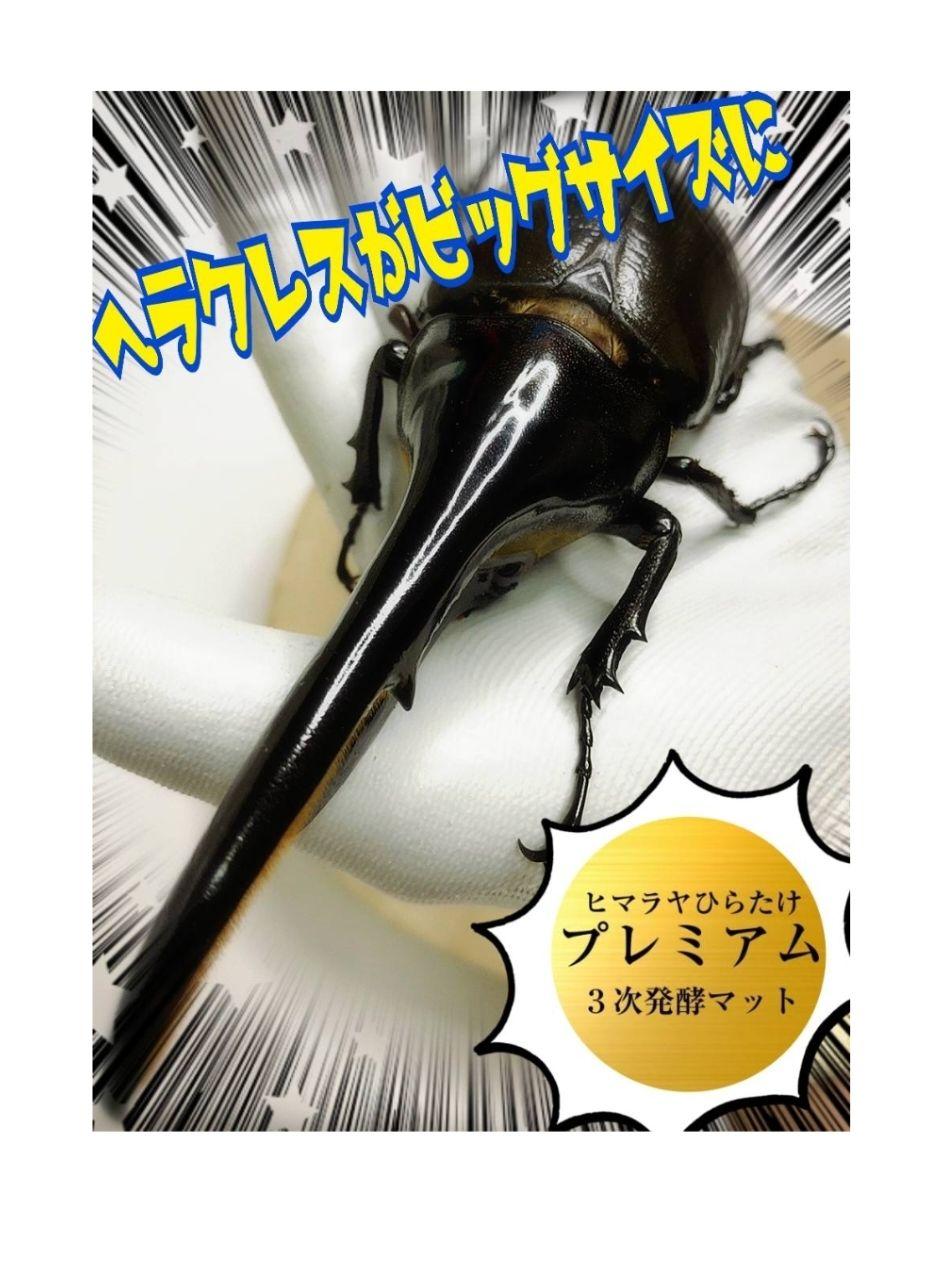 増量【80リットル】プレミアム3次発酵カブトムシマット☆特殊アミノ酸強化配合！