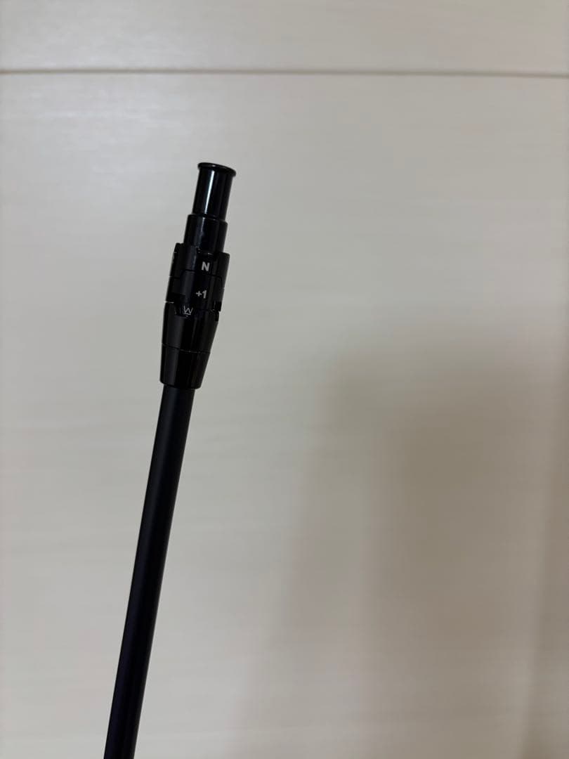 プロトステガ　キャロウェイ　60X