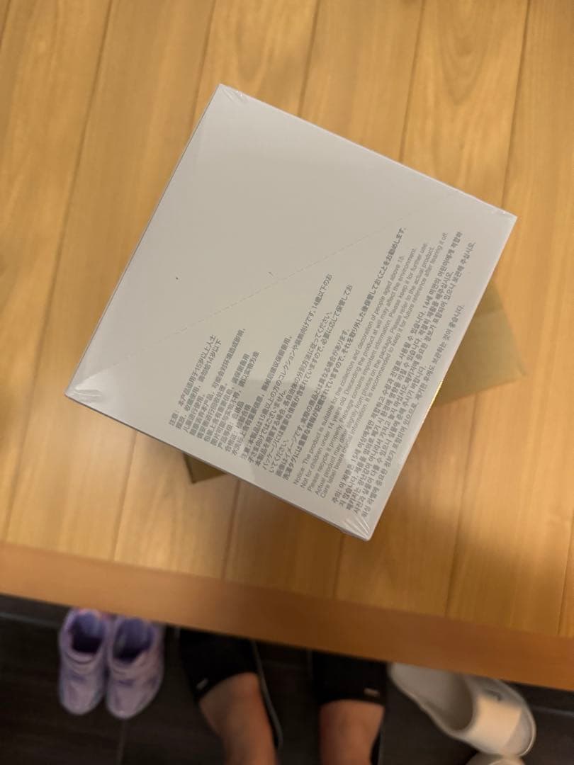 Big into Energy ぬいぐるみ　1アソートボックス ラブブ 正規品