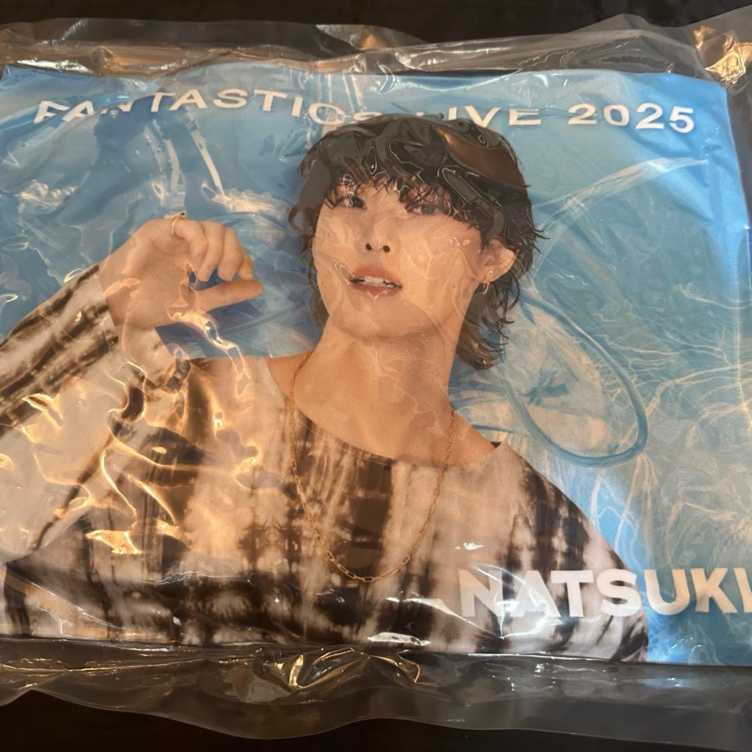 堀夏喜　クッション　レア　BUTTERFLY　会場限定　実写　ファンタ　青