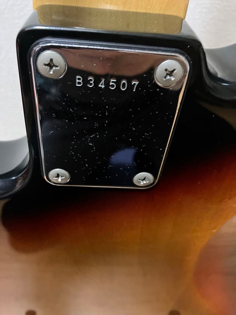 Bill's Brothers ビルズブラザーズ BJB500ペグGOTOH新品