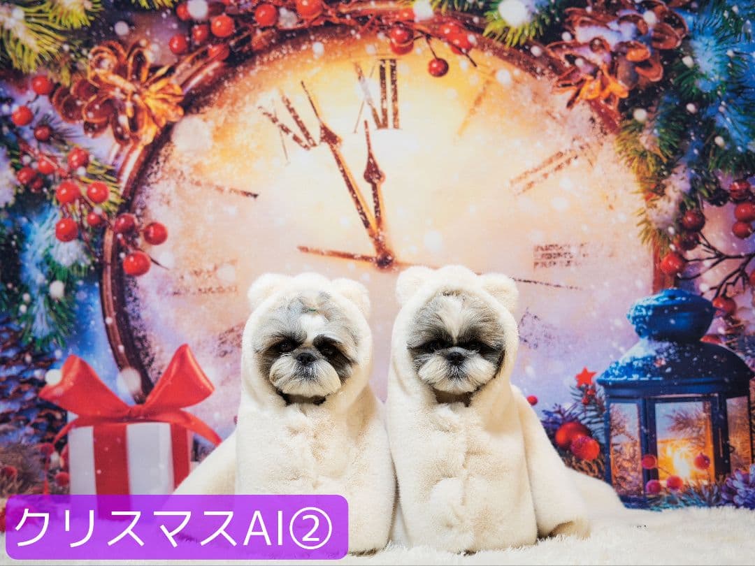 背景布×10+2　ペット撮影用フォトブース　トリミングチョーカー販売中　Xmas