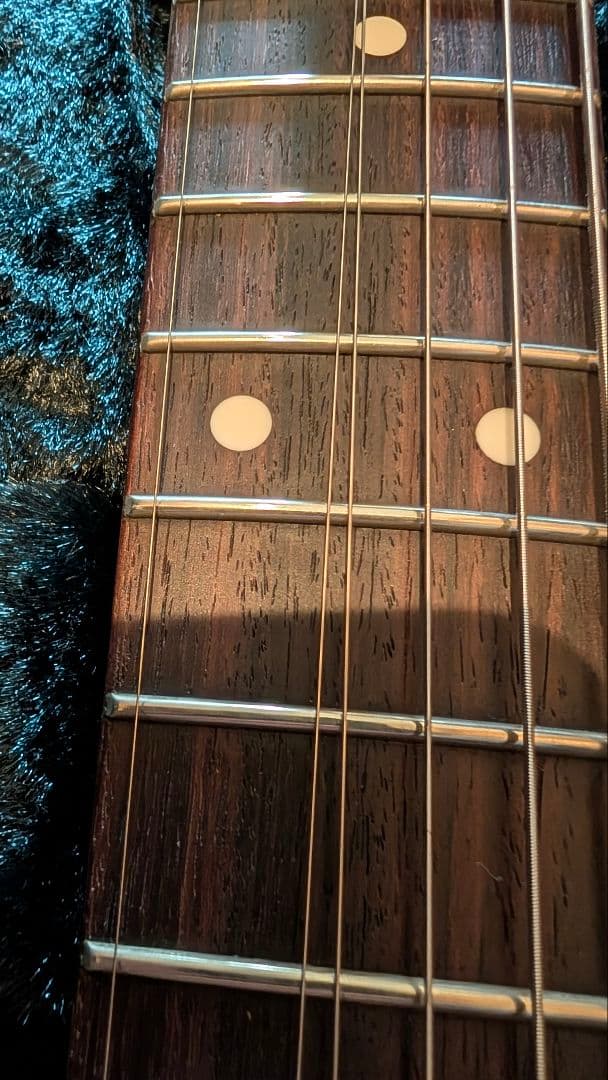 HISTORY TH-SV/R VWH フジゲン heritage wood