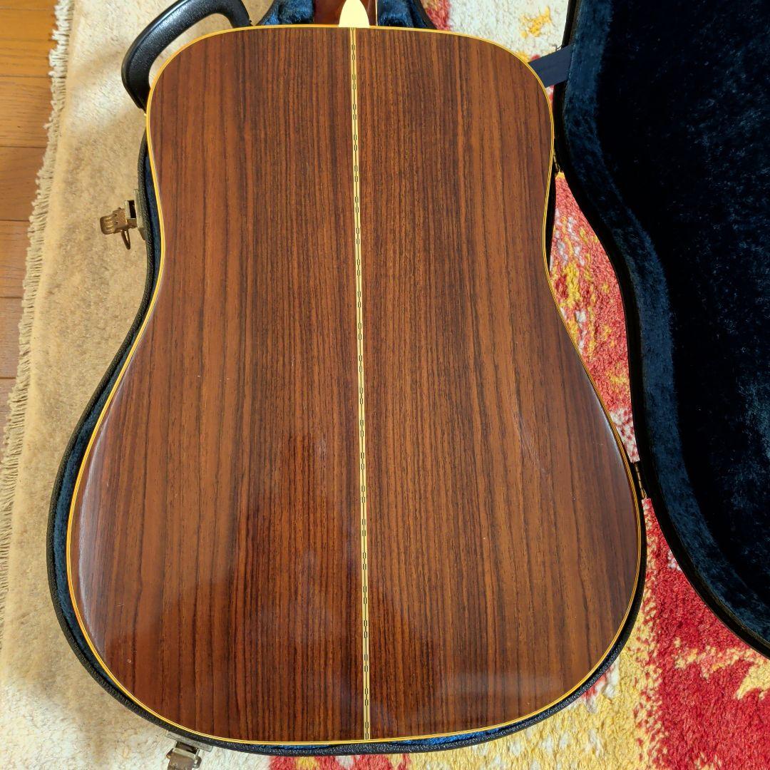 アコースティックギターRidar R350custom-model