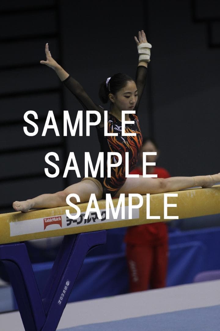 ★9/30終売★寺本明日香 画像集(2015～2019年) 約15,500枚